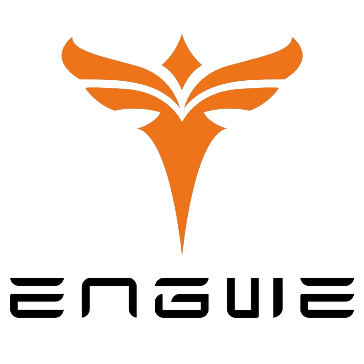 Engwe USA Official Coupons & Promo Codes Engwe USA Official Coupons & Promo Codes