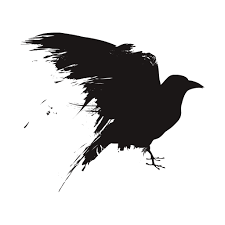 RavenCrest Tactical Coupons & Promo Codes RavenCrest Tactical Coupons & Promo Codes