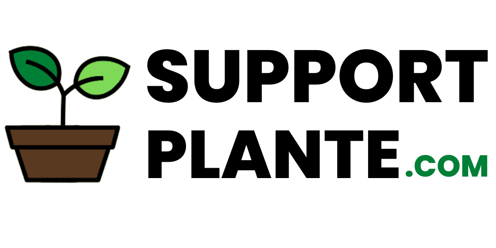 SUPPORT PLANTE